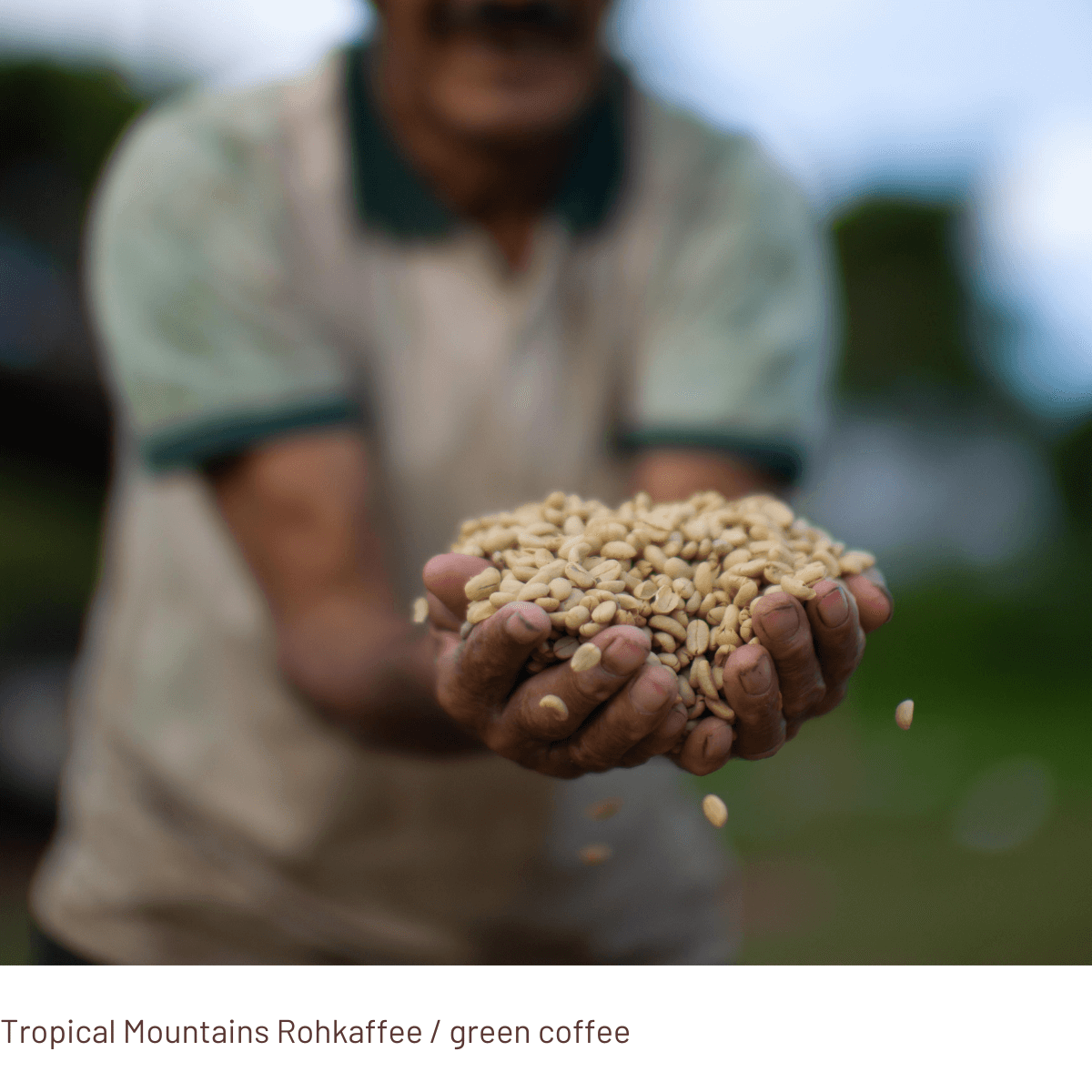 PACIFICO Decaf – decaffeinated coffee capsules