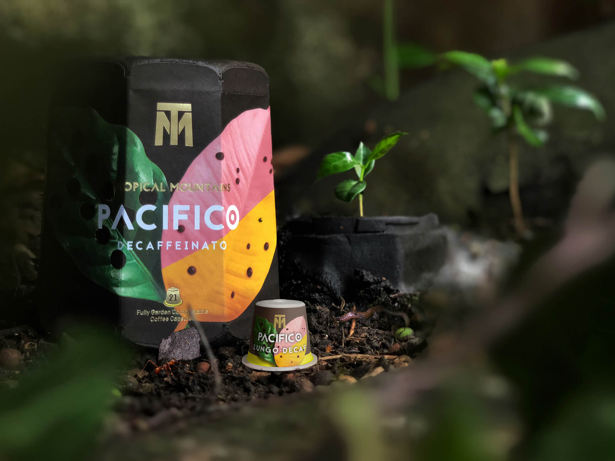 TM_Packaging_Self-Compostable_Cat