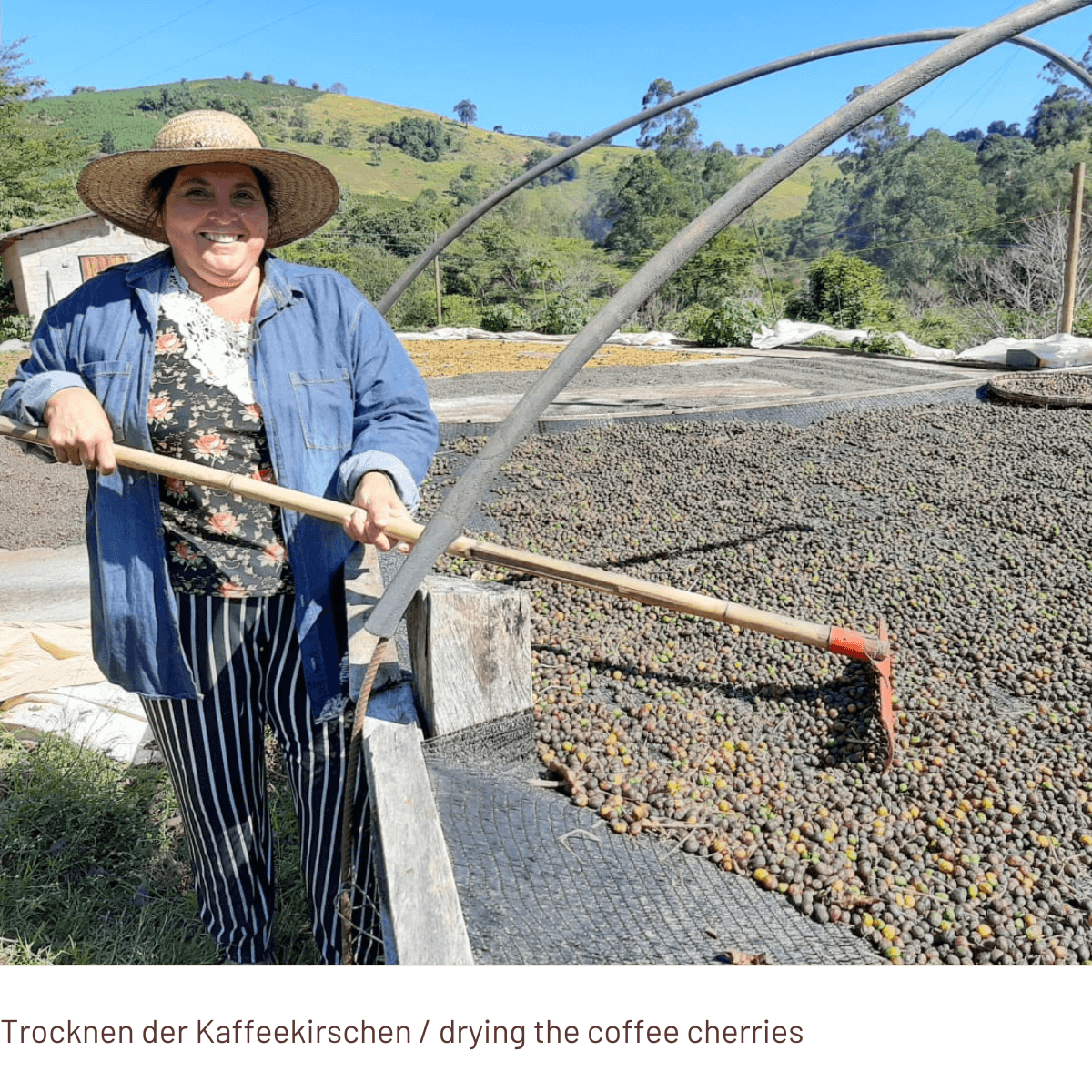 BRASILEÑA Café Feminino - Project Coffee - Coffee Beans