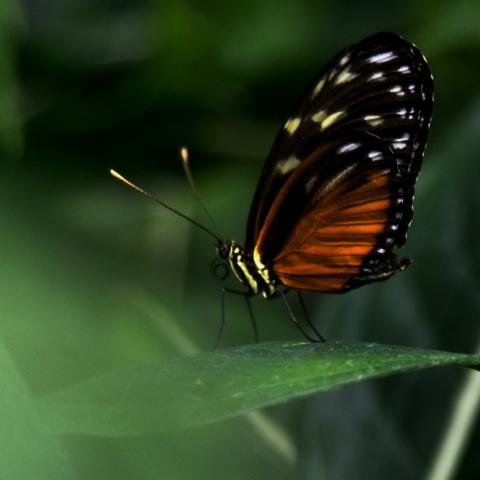 0-home-teaser-sustainability_0191a4fa3a2b764181423fd25a51c715