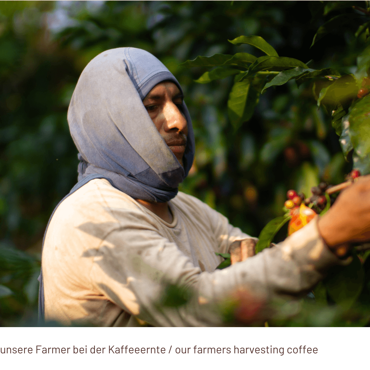 MAFIOSO Espresso E.S.E. Pads