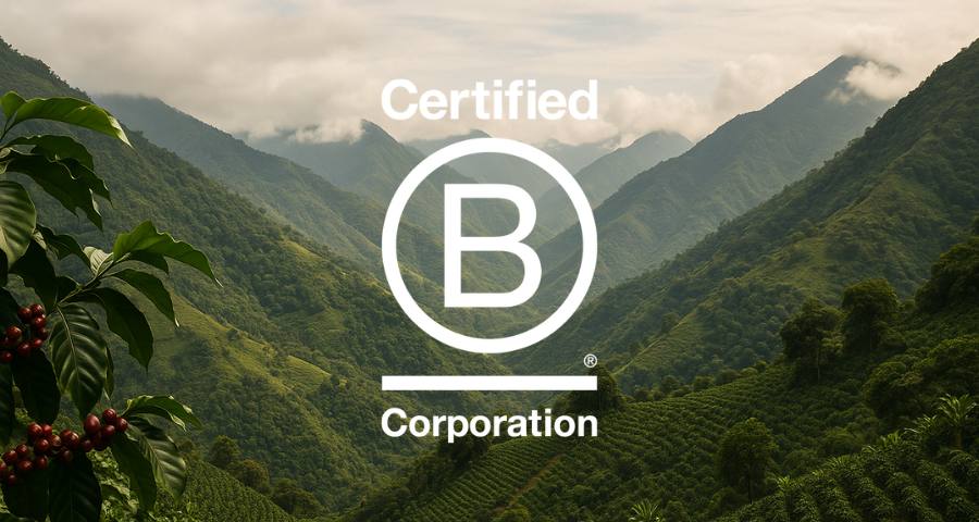 vorschaubild-b-corp-900x400px