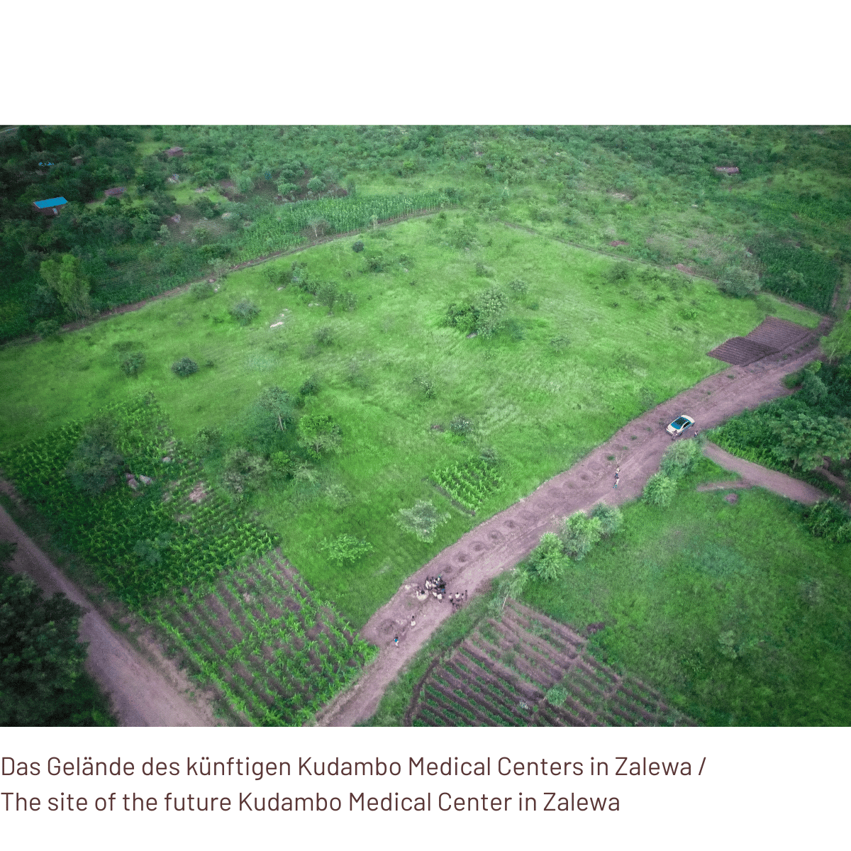 CREMOSO Medium Roast - Social Coffee - Coffee Beans