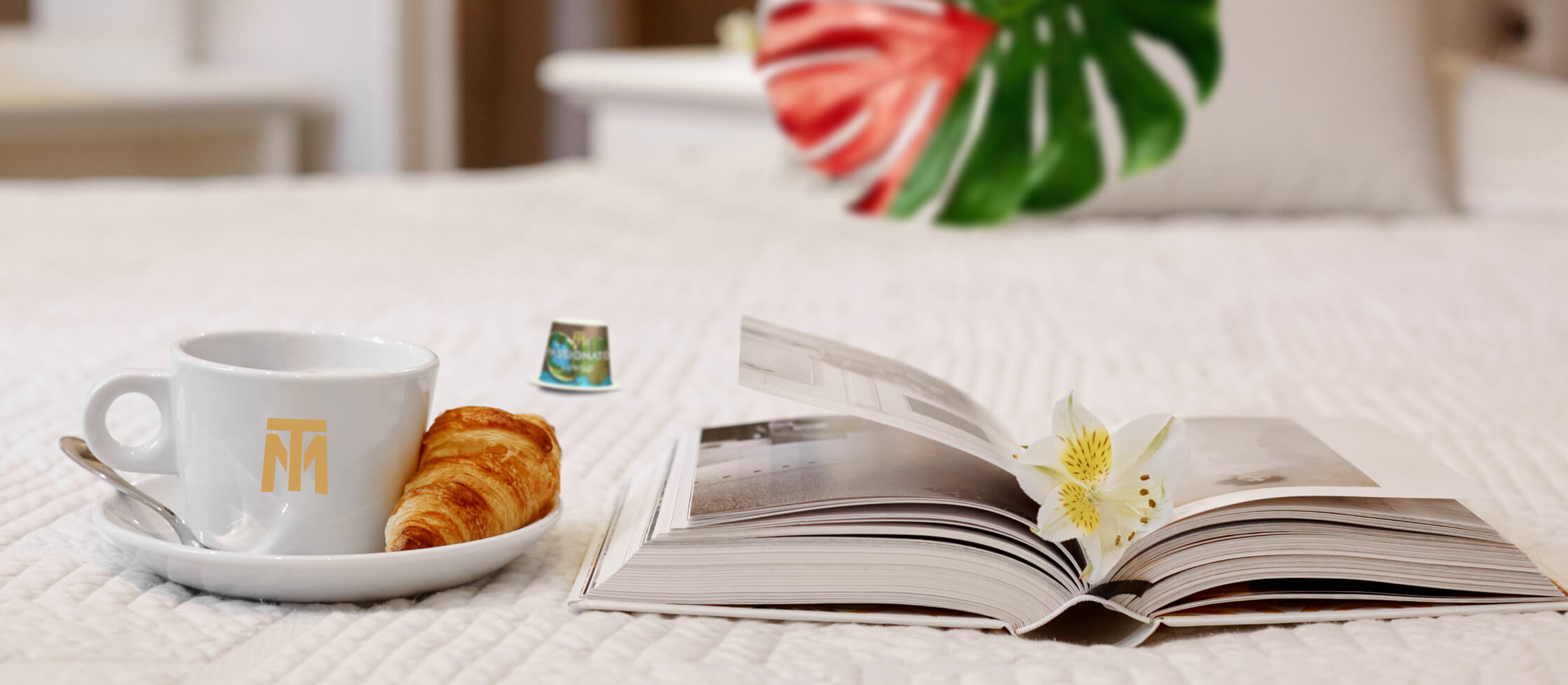 B2B-hotellerie (1)_01986f6c712e741d93578c4c45031a3b