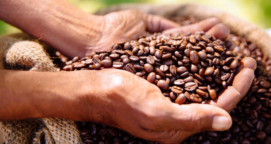 vorschaubild-fair-kaffee-900x480px vorschaubild-fair-kaffee-900x480px