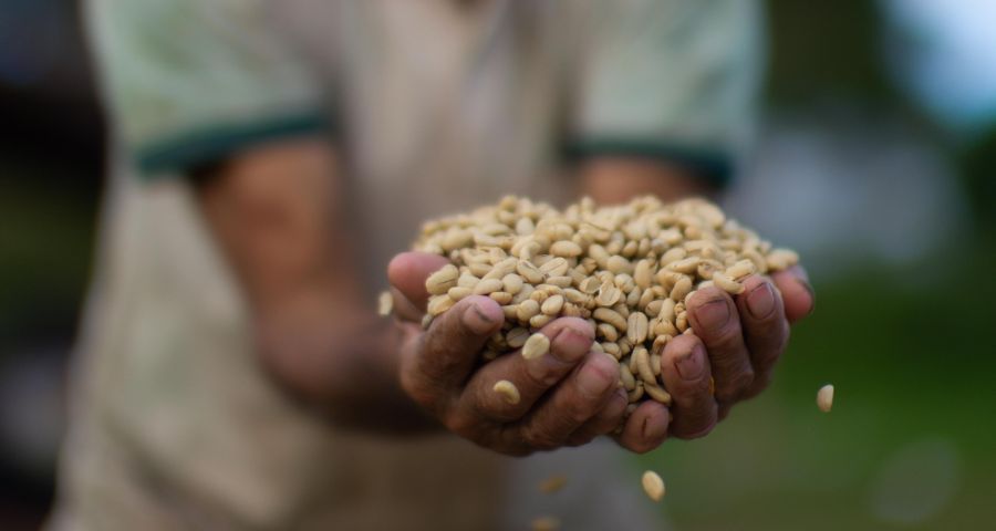 vorschaubild-fairtrade-kaffee-900x480px vorschaubild-fairtrade-kaffee-900x480px
